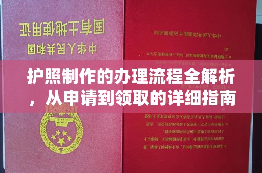 泉山护照制作的办理流程全解析，从申请到领取的详细指南